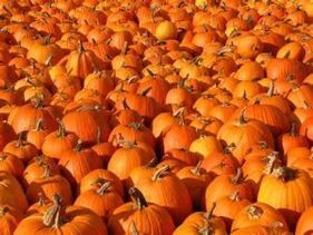 Calabaza